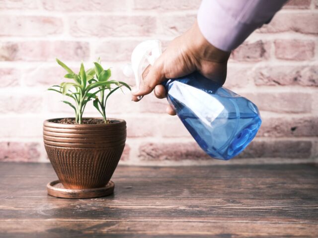 Garden furniture cleaner