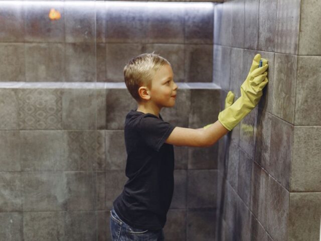 Mould remover